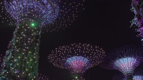 Espectáculo-De-Supertree-Grove-De-Singapur-En-El-Espectáculo-De-Jardines-Junto-A-La-Bahía-Toma-Panorámica