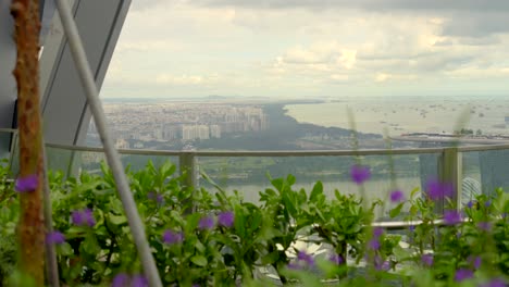 Singapore-flowers-sea-view-from-CapitaSpring-Sky-Garden-rooftop-scenery-panning-shot