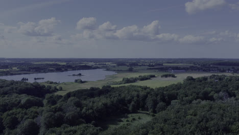 Schöne-Drohnenansicht-Eines-Waldes-Mit-Einem-See-Im-Hintergrund-Im-Sommer-In-Dänemark