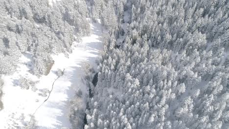 Luftaufnahme-Eines-Flusses-In-Einem-Verschneiten-Canyonwald-In-Montana