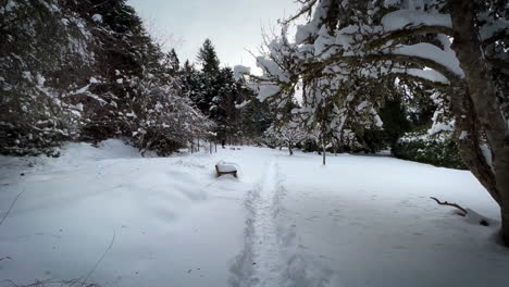 Deep-Snow-Pathway-Through-Winter-Wonderland-to-Forest-Farm