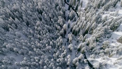 Schneebedeckte-Bäume-Entlang-Des-Flusses,-Der-Das-Tal-Hinauf-Zu-Einer-Stadt-Führt