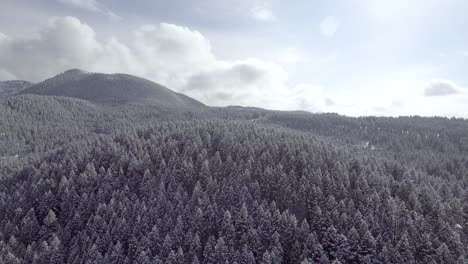 Luftaufnahme-über-Schneebedecktem-Wald-In-Montana