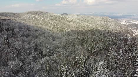 Flying-Over-A-Mountain-Forest-Covered-By-Snow-With-White-Clouds-In-The-Distance