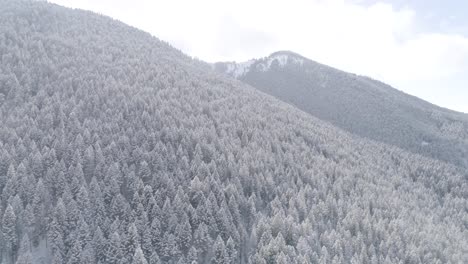 Bozeman-Montana-Luftaufnahme-Eines-Verschneiten-Waldes-Auf-Berggipfeln