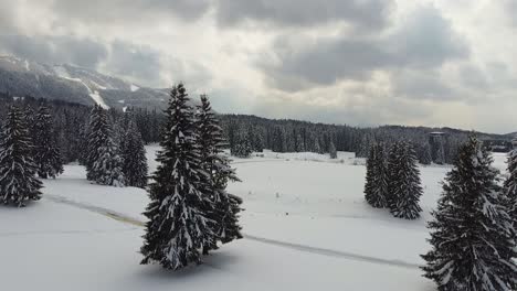 Erleben-Sie-Die-Schönheit-Von-Poiana-Brasov,-Rumänien,-Mit-Einem-Drohnenblick-Auf-Eine-Winterliche-Berglandschaft