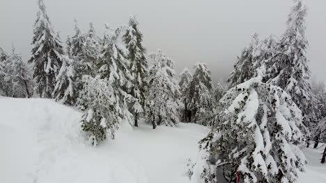 Aufwärtsbewegung,-Winterwanderland,-Dicke-Schneeschicht,-Die-Einen-Berghang-Und-Einen-Tannenwald-Bedeckt,-Dicke-Wolkenschicht,-Nebel,-Poiana-Brasov,-Rumänien