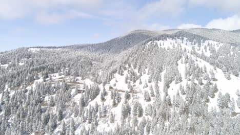 Bozeman-montana-snowy-forest-aerial-wheeler-mountain-cottonwood-road