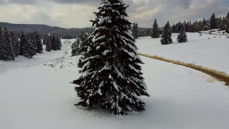 Experience-The-Beauty-Of-Poiana-Brasov,-Romania-With-A-Slow-Reveal-Of-A-Winter-Scenery-Surrounded-By-Hills-And-Mountains