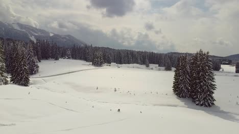 Luftaufnahme-über-Die-Schönheit-Der-Karpaten-Im-Winter-Mit-Einem-Dichten-Immergrünen-Fichtenwald,-Der-Die-Schneebedeckten-Berge-Bedeckt,-Poiana-Brasov,-Rumänien