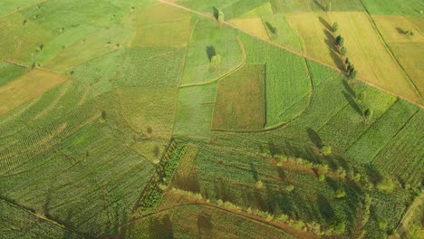 Granja-Tierras-De-Cultivo-Paisaje-Rural