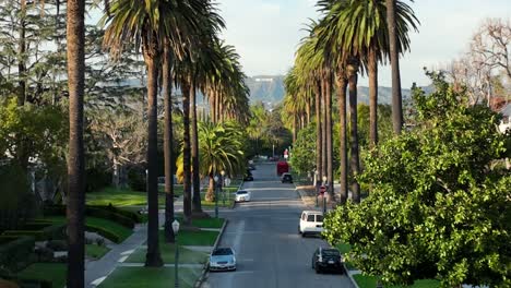 Establishing-Aerial-View-of-Palm-Trees-Alley-and-Hollywood-Sign-in-Background,-Street-View-of-Iconic-Landmark,-Los-Angeles