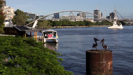 Blick-Auf-Die-Fähre,-Die-Von-Der-Klippenpromenade-Am-Kangaroo-Point-In-Brisbane-City-Ankommt