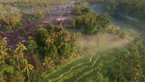 Scenic-calm-iconic-landscape-with-cultural-village-next-to-foggy-rice-fields-filmed-from-drone-in-Bali,-Indonesia