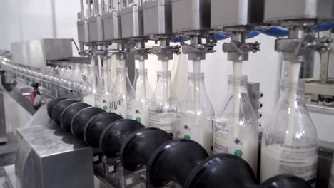 Efficient-Milk-Bottling:-Machine-Fills-Glass-Bottles