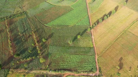 farm-farmland-landscape-rural