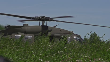 Sikorsky-Uh-60-Black-Hawk-Rollt-Mit-Rotierenden-Hauptrotorblättern-An-Hohem-Gras-Vorbei