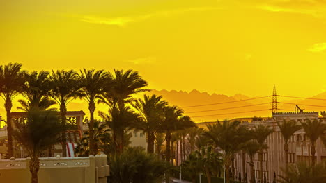 Exotic-resort-with-palm-trees-on-golden-yellow-sky,-fusion-time-lapse
