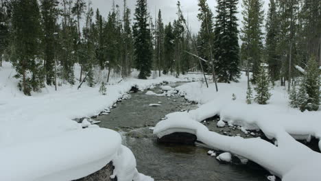 Stream-flowing-through-snow-covered-pine-forest-in-winter