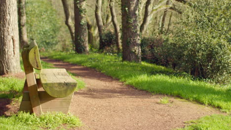 Park-Wooden-Bench-Along-Trail-Through-The-Forest-On-A-Sunny-Day