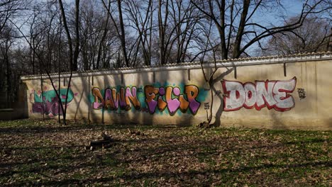 Straßengraffiti-Kunst-An-Der-Wand-Im-öffentlichen-Park