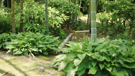 Japanischer-Bambusbrunnen-„Shishi-Odoshi“,-Der-Im-Zen-Garten-Fließt