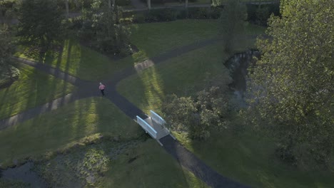 Woman-running-over-idyllic-bridge-in-botanical-garden-during-sunset,-aerial