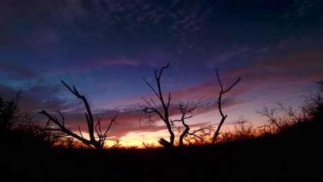 Wunderschöner-Sonnenuntergang-Im-Zeitraffer-Mit-Einem-Umgestürzten-Baum-Im-Vordergrund-4k