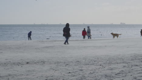 People-And-Their-Pet-Dogs-Spending-Free-Time-By-The-Beach-In-Gdynia,-Poland