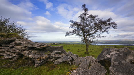 Timelapse-of-rural-nature-farmland-with-tree-and-stonewall-in-the-foreground-and-sheep-in-the-fields-and-lake-in-distance-during-cloudy-day-viewed-from-Carrowkeel-in-county-Sligo-in-Ireland