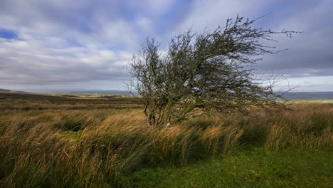 Timelapse-of-rural-nature-farmland-with-field-tree-in-the-foreground-during-cloudy-sunny-day-viewed-from-Carrowkeel-in-county-Sligo-in-Ireland