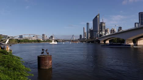 Blick-Auf-Brisbane-City-Und-Eine-Stadtkatze-Von-Der-Klippenpromenade-Am-Kangaroo-Point