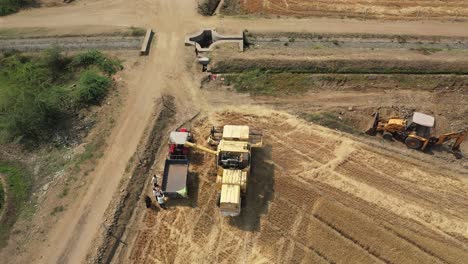 Un-Dron-Aéreo-De-Arriba-Hacia-Abajo-Voló-Sobre-Una-Cosechadora-Agrícola-Amarilla-Cosechando-Trigo-Maduro-De-Un-Gran-Campo-De-Trigo-En-Rajkot,-India,-En-Un-Día-Soleado