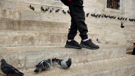 Las-Palomas-Se-Alimentan-De-Los-Escalones-De-Mármol-De-La-Nueva-Mezquita-Eminonu-En-Estambul,-Turquía