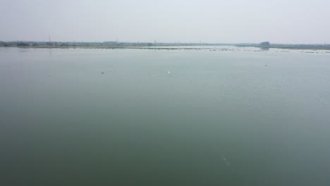 Aerial-drone-forward-moving-shot-over-Pelican-flying-low-over-a-large-lake-along-rural-countryside-during-evening-time