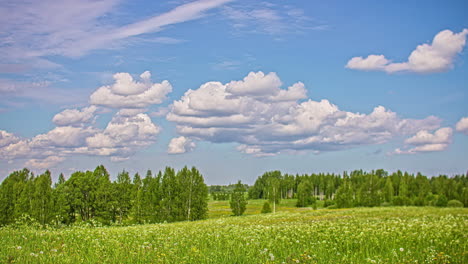 Wolken-Rollen-Und-Verändern-Ihre-Form,-Während-Sie-über-Den-Sonnigen-Himmel-über-Einem-Grasbewachsenen-Feld-Mit-Löwenzahn-Und-Anderen-Wildblumen-Und-Bäumen-Wehen-–-Zeitraffer