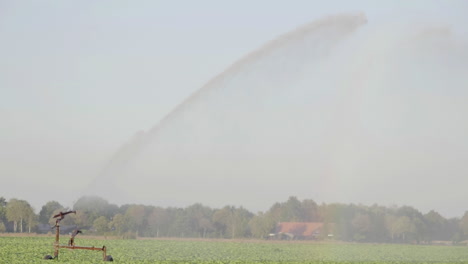 180-fps---Large-sprinkler-spraying-water-high-in-the-sky