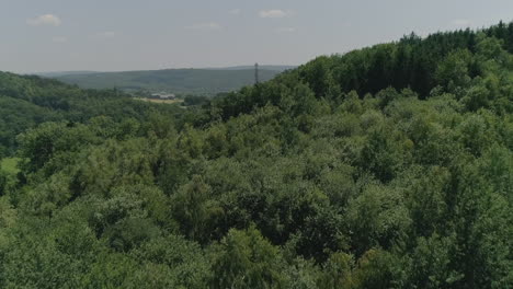 Antenne:-Vorbeiflug-über-Bäume,-Die-An-Einem-Sommertag-Eine-Hügelige,-Ländliche-Landschaft-Zeigen