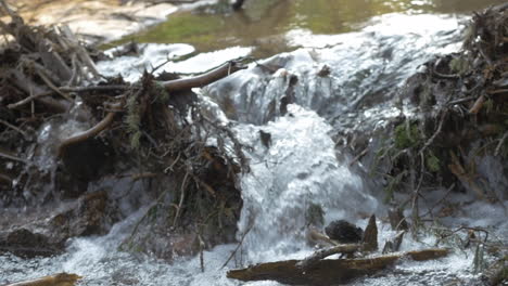 Close-Up-Push-In-of-a-Small-Stream-in-the-Woods,-Slow-Motion