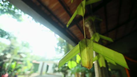 Folded-banana-leaf-mobile-hanging-from-the-ceiling,-turning-in-the-wind