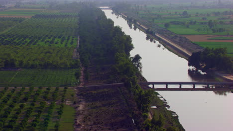 A-canal-is-covered-by-the-trees-and-the-farms,-Big-canal-in-the-green-farms,-A-bridge-on-the-canal,-Aerial-view-against-the-sun-light