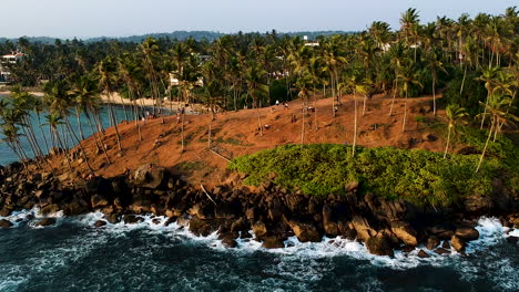 Aerial-of-Coconut-Tree-Hill,-isolated-palm-trees