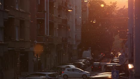 Pollen-particles-floating-in-the-air-among-street-lights-and-apartment-blocks,-while-cars-passing-by-on-the-street-at-sunset,-Budapest,-Hungary---180-fps-slow-motion