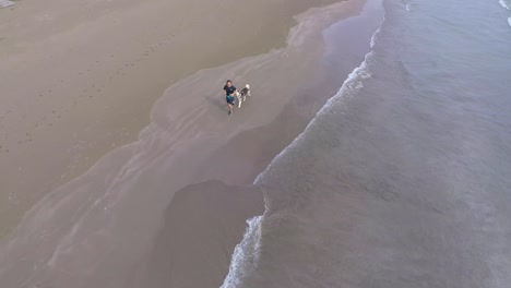watching-from-a-drone-running-with-your-partner-husky-to-the-beach-is-rewarding