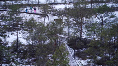 View-of-Viru-bog-from-Observation-tower-in-winter-with-unrecognizable-family-walking-on-icy-path