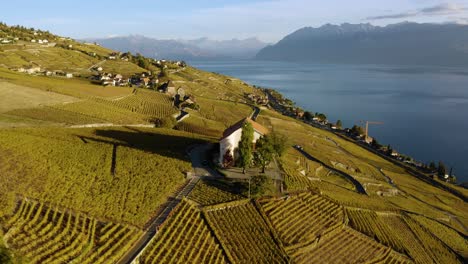 Aerial-shot-descending-and-passing-close-to-Chateau-de-Montagny-in-Lavaux-vineyard,-Switzerland-Autumn-colors-and-sunset-light