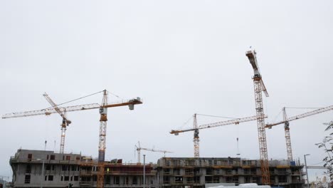 Wide-Shot-of-Multiple-Cranes-Working-on-One-Site
