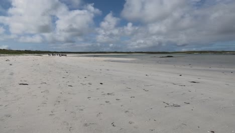 Large-group-of-walkers-on-Balranald-Beach-in-North-Uist-on-a-sunny-day