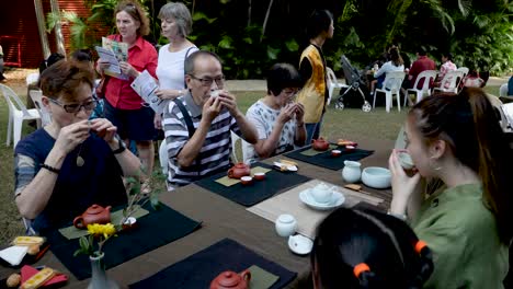 Chinese-Women-explain-history-and-way-of-drink-Chinese-tea-during-Chinese-tea-session---tea-class-Chinese-Tea-class-with-people-for-meditation