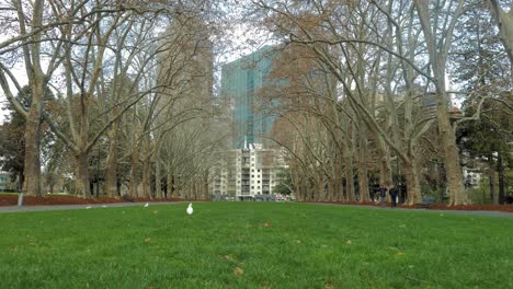 Edificio-Real-De-Exposiciones-En-Construcción-En-Melbourne,-Australia-Jardines-Carlton-De-Melbourne